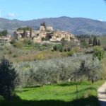 Greve in Chianti: Wine tasting and visit to our small winery - A genuine glimpse of Tuscany at Podere Bucine Winery