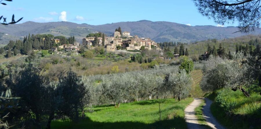 Greve in Chianti: Wine tasting and visit to our small winery - A genuine glimpse of Tuscany at Podere Bucine Winery