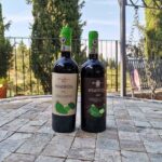 Greve in Chianti Wine Tasting and Winery Tour - The Sum Up