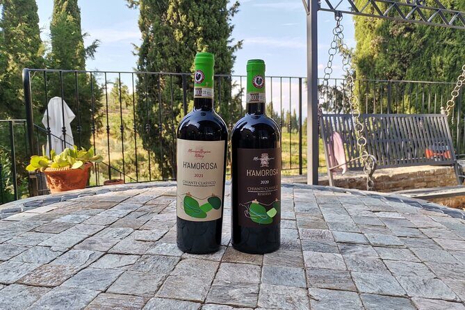 Greve in Chianti Wine Tasting and Winery Tour - The Sum Up