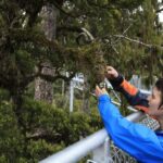 Greymouth: Hokitika Gorge and Tree Top Walkway Half-Day Tour - An In-Depth Review of the Hokitika Gorge and Tree Top Walkway Tour