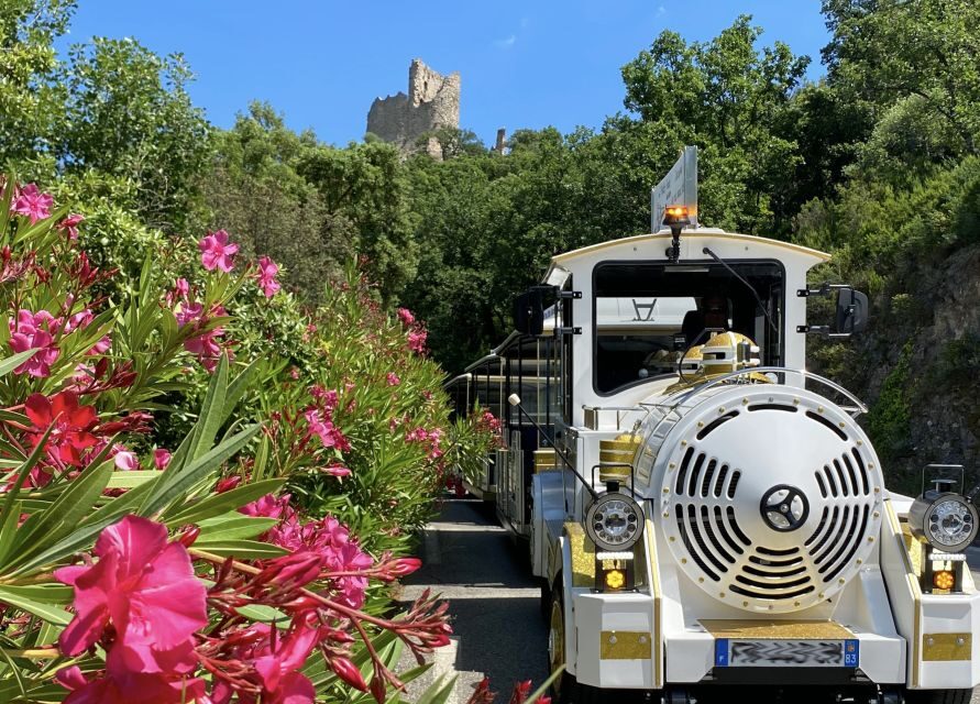 Grimaud: Guided Tour of Port Grimaud & Grimaud by Train - An In-Depth Look at the Experience