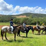 Grimaud: Horseback Riding & Wine Tasting in Maures Forest - A Deep Dive into the Experience