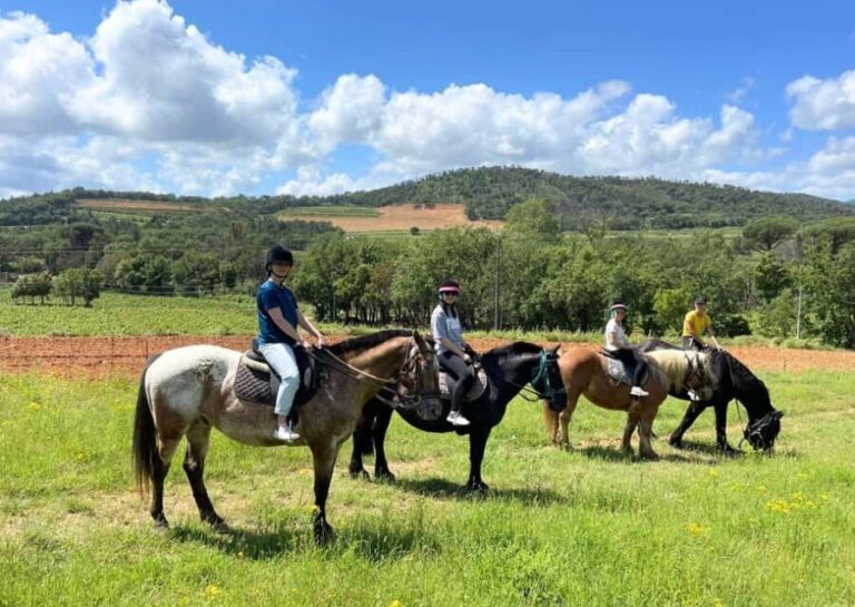Grimaud: Horseback Riding & Wine Tasting in Maures Forest - A Deep Dive into the Experience