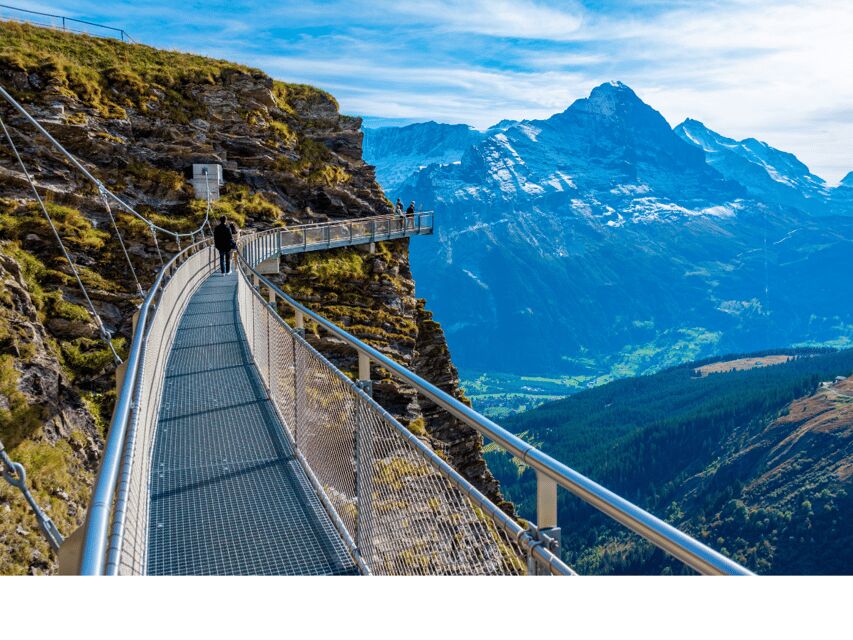 Grindelwald First Top of Adventure Private Trip - Who Is This Tour Best For?