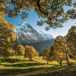 Grindelwald, Interlaken and Lauterbrunnen Day Trip from Lucerne - FAQs