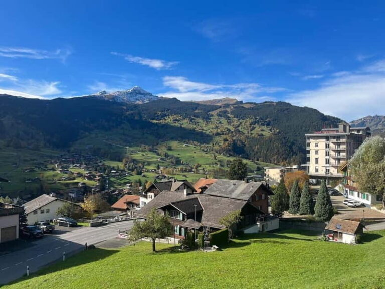 Grindelwald Private Walking tour - FAQ