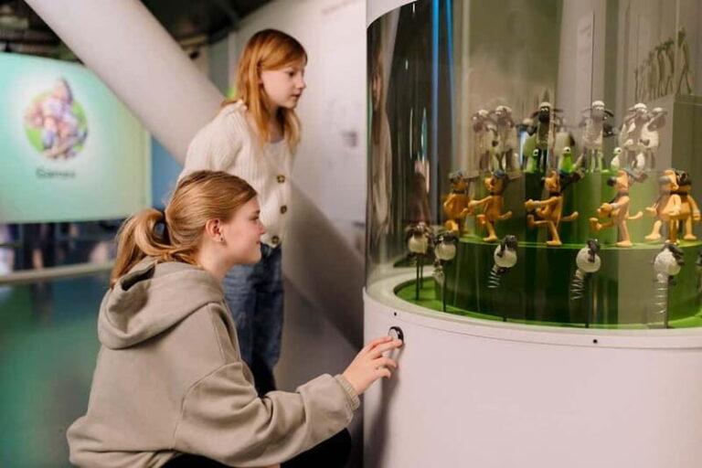 Groningen: Storyworld Museum at Forum Groningen - Who Is This Tour Best For?