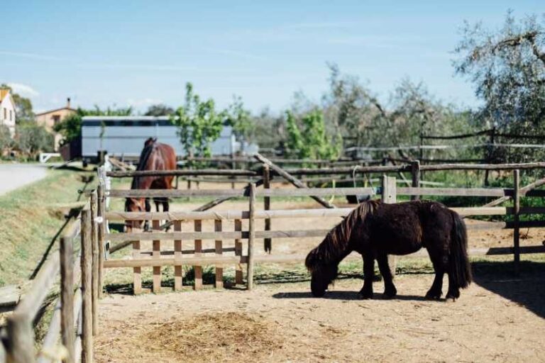Grosseto: visit the family farm with tasting of local food - Practical Details and Tips for Your Visit