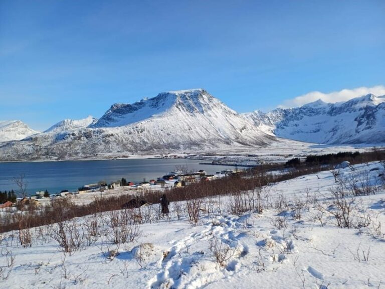 Grøtfjord, Tromsø. Unique Artic scenic route. - The Sum Up