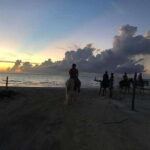 Group horseback ride on Holbox Island, Quintana Roo - A Closer Look at the Experience