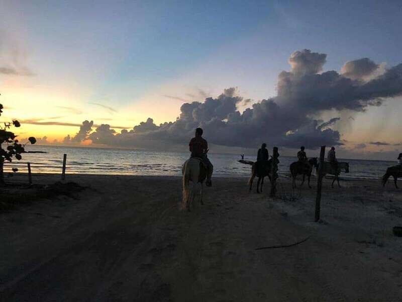 Group horseback ride on Holbox Island, Quintana Roo - A Closer Look at the Experience