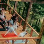 Group Reset Yoga and Sound Healing - Customization and Themes