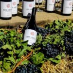 Group Tour: Hayravank, Noratus, Selim, Winery, Jermuk - Final Thoughts: Is It Worth It?