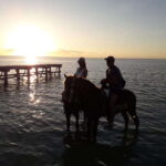 Group Tour of Holbox Island, Quintana Roo - A Closer Look at the Horseback Riding Experience