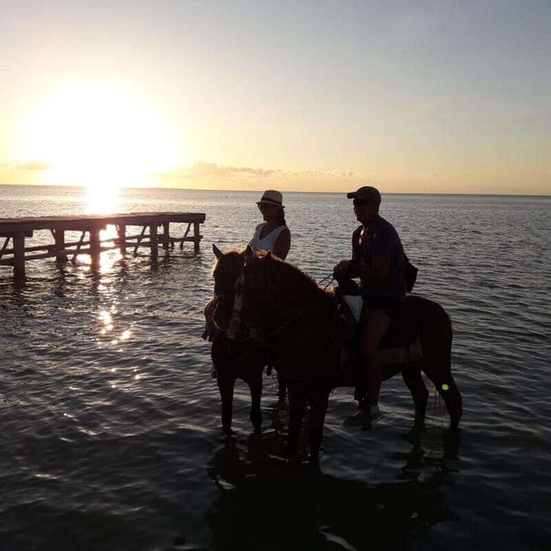 Group Tour of Holbox Island, Quintana Roo - A Closer Look at the Horseback Riding Experience