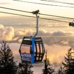 Grouse Mountain, Capilano Bridge & Fish Hatchery Tour - A Deep Dive into the Tour Experience