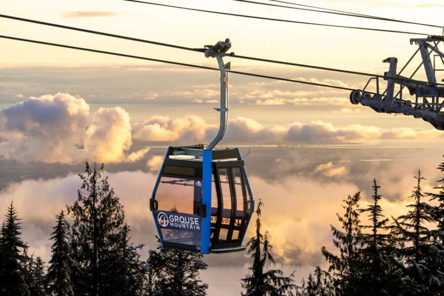 Grouse Mountain, Capilano Bridge & Fish Hatchery Tour - A Deep Dive into the Tour Experience