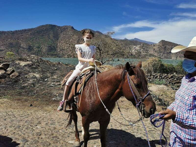 Guadalajara: Horse Riding on the Tequila Route with Tastings - Why This Tour Stands Out
