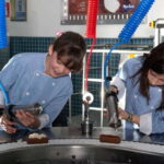 Guadalajara: KidZania Entrance Ticket - Why This Experience Works for Families