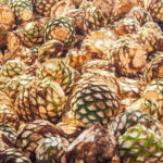 Guadalajara: Lake Chapala and Ajijic Day Trip with Boat Trip - Why This Tour Works for Travelers