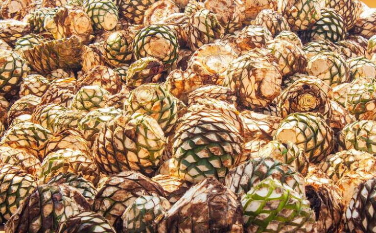 Guadalajara: Lake Chapala and Ajijic Day Trip with Boat Trip - Why This Tour Works for Travelers