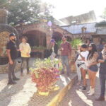 Guadalajara: Premium Tequila Tour with Tastings and Pairings - Why This Tour Stands Out