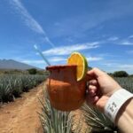 Guadalajara: Tequila Day Trip with Jose Cuervo Option - The Journey Into Mexico’s Tequila Heartland