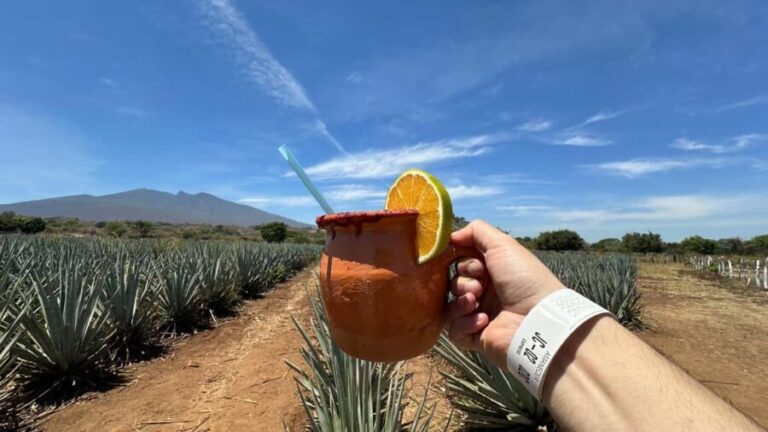 Guadalajara: Tequila Day Trip with Jose Cuervo Option - The Journey Into Mexico’s Tequila Heartland