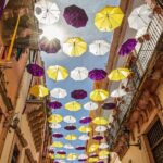 Guadalajara to Guanajuato One-Way Private Transfer - Who Should Consider This Service?