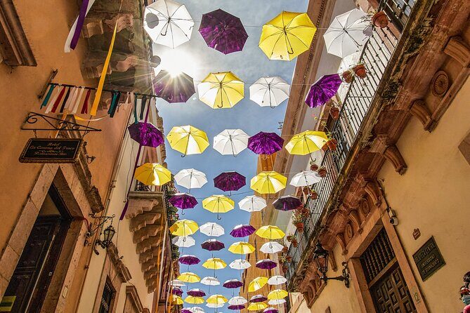 Guadalajara to Guanajuato One-Way Private Transfer - Who Should Consider This Service?