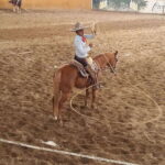 Guadalajara Tour and Charreria Competition Show - What Makes This Tour Stand Out?