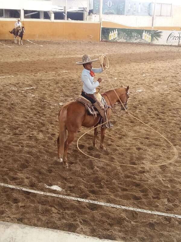 Guadalajara Tour and Charreria Competition Show - What Makes This Tour Stand Out?