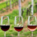 Guadalupe Valley: Complete Wine Route - FAQ
