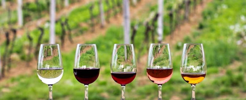 Guadalupe Valley: Complete Wine Route - FAQ