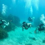 Guam's Best Beach Diving! Beginner and Advanced Dives - Practical Tips for Travelers