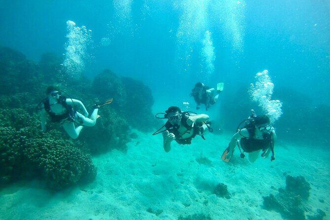 Guam's Best Beach Diving! Beginner and Advanced Dives - Practical Tips for Travelers
