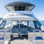 Guaranteed Dolphin and Whale Watch Tour in Kona - The Experience in Detail: What You Can Expect