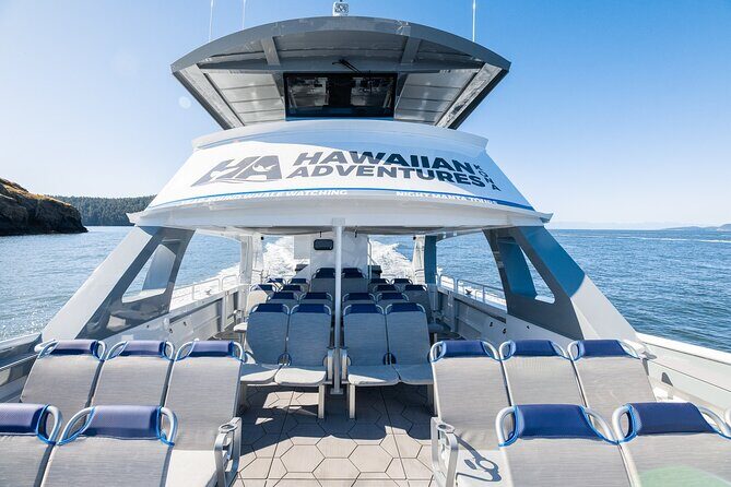 Guaranteed Dolphin and Whale Watch Tour in Kona - The Experience in Detail: What You Can Expect