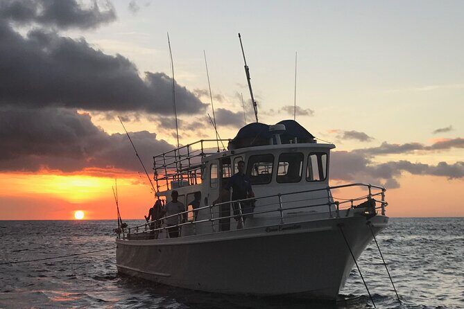 Guaranteed Whale Watch in Kona - Wildlife Sightings and Authentic Encounters