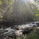 Guided Art Adventure Hikes in Great Smoky Mountains Natl Park - Who Should Book This Tour?