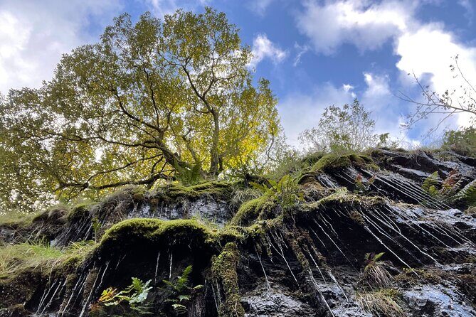 Guided Bike Ride: Exploring the Limerick Greenway - Who Should Consider This Tour?