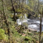 Guided Breacon Beacons 4 waterfalls in day hike from Cardiff - The Sum Up