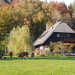 Guided cider tasting - Why This Tour Works Well for Travelers