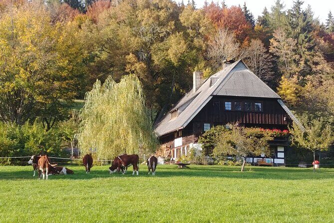 Guided cider tasting - Why This Tour Works Well for Travelers