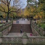 Guided Deluxe Pedicab Tour in Central Park - The Sum Up