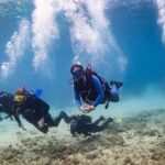 Guided dive for certified divers - The Sum Up: Who Should Consider This Dive?