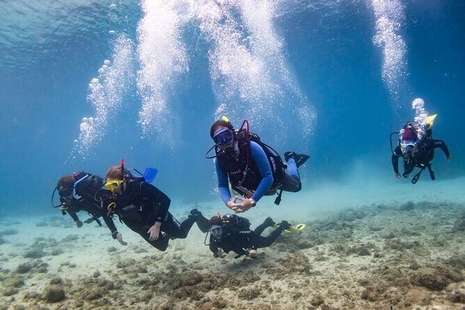 Guided dive for certified divers - The Sum Up: Who Should Consider This Dive?