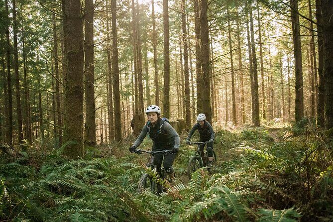 Guided E-Bike Day Trips Dorset - Frequently Asked Questions (FAQs)