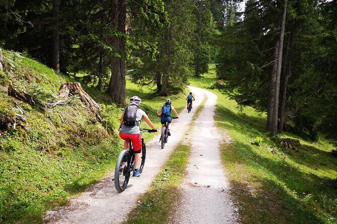 Guided e-bike tour of the alpine pastures in the Salzkammergut - Exploring the Heart of the Salzkammergut on Two Wheels